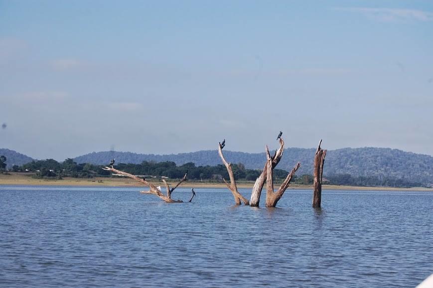 The Peepal Tree, Kabini Begur Экстерьер фото